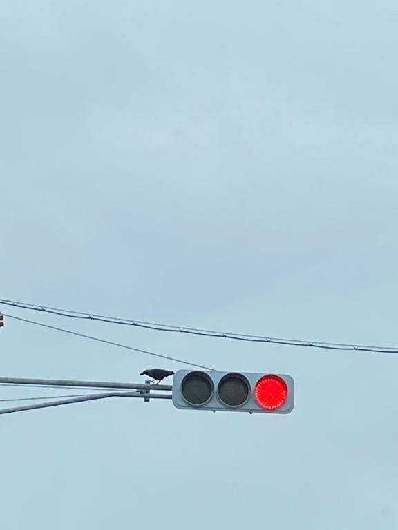 えま 写メ日記 10/15(水) 15:37