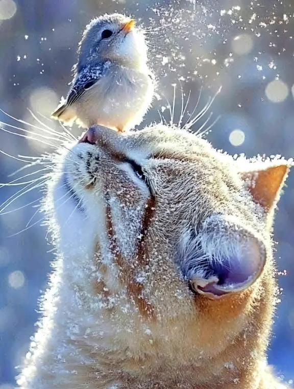 えま 写メ日記 11/17(月) 13:46