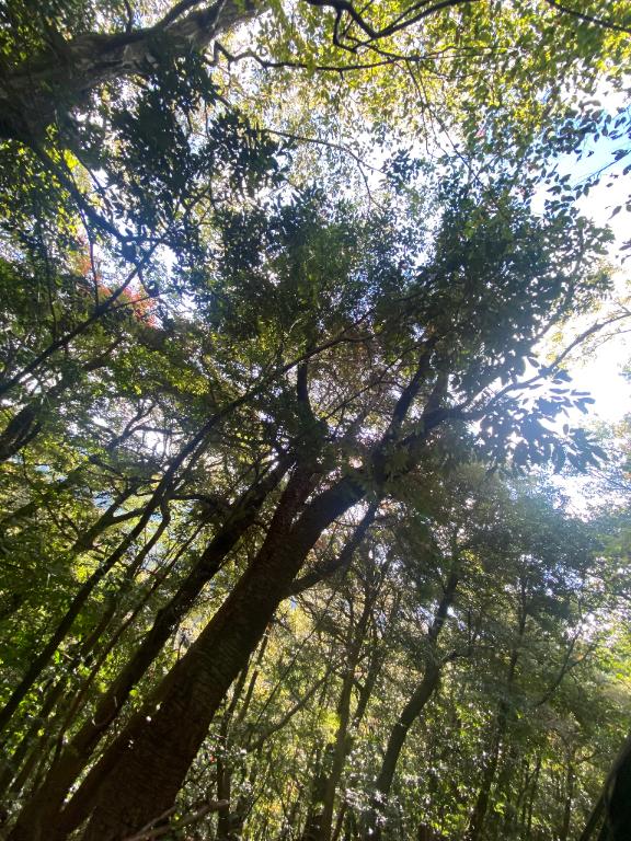 えま 写メ日記 12/9(火) 11:12