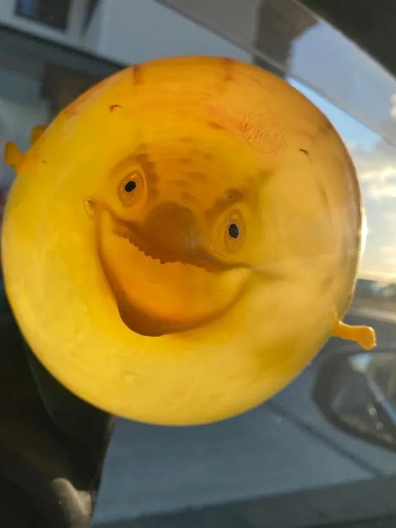 写メ日記 えま 1/7(水) 20:44