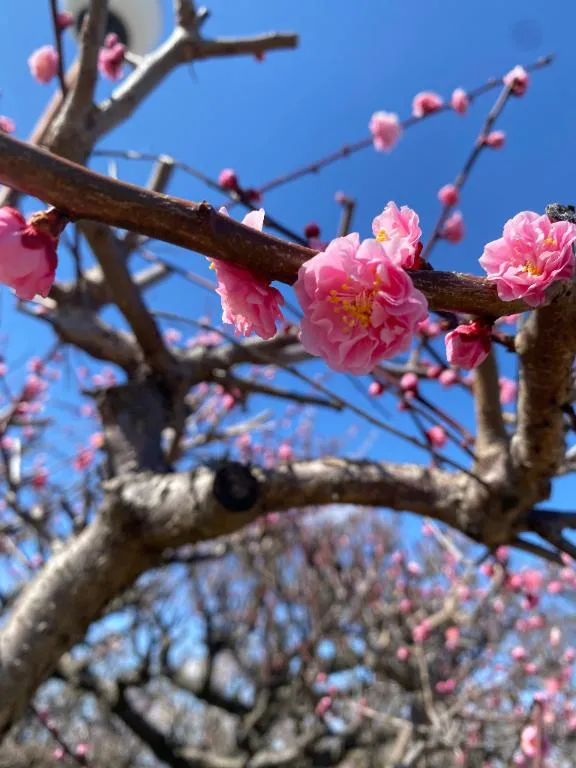 写メ日記 えま 3/10(火) 13:55