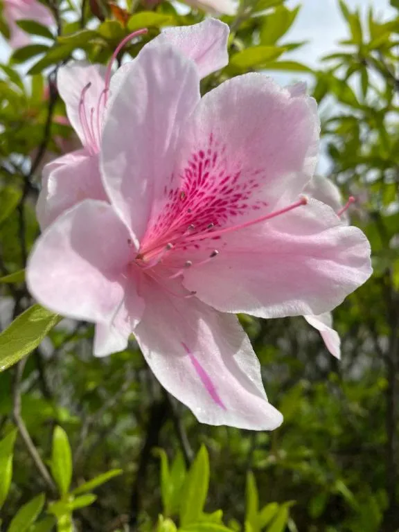写メ日記 えま 4/22(水) 22:01