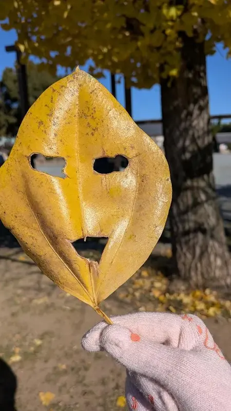 写メ日記 みわ 12/15(月) 07:43