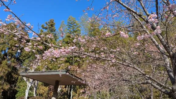 写メ日記 みわ 2/26(木) 15:51