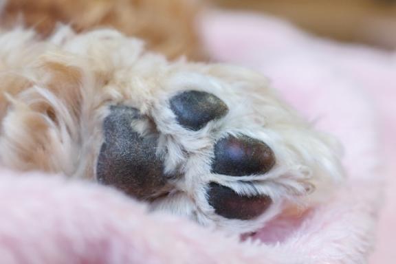 ふうか 写メ日記 6/21(土) 12:03