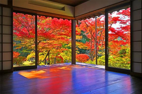 ふうか 写メ日記 9/22(月) 13:30