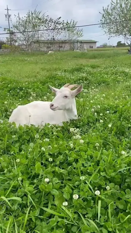 写メ日記 あかね 3/21(土) 18:14
