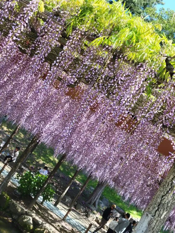 写メ日記 あかね 4/28(火) 09:27