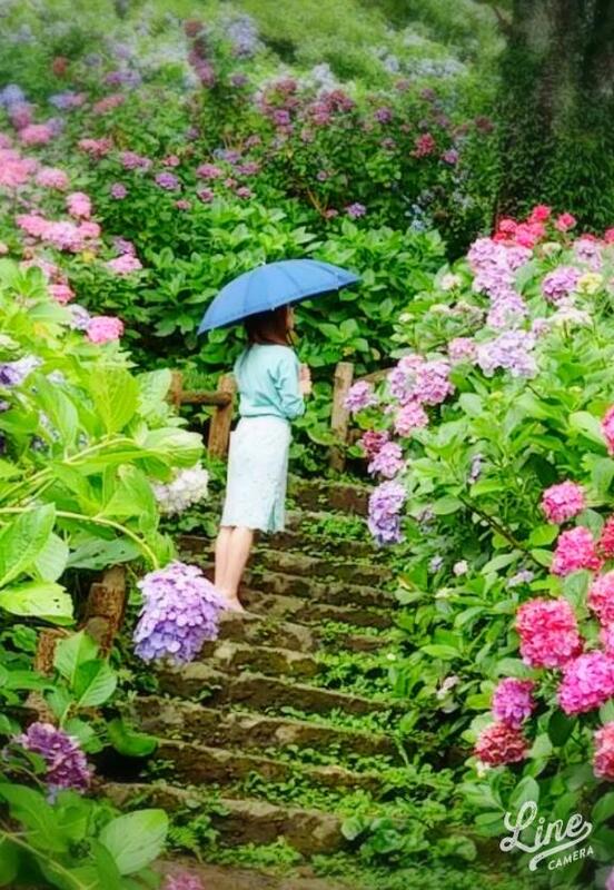 かな 写メ日記 6/3(火) 17:01