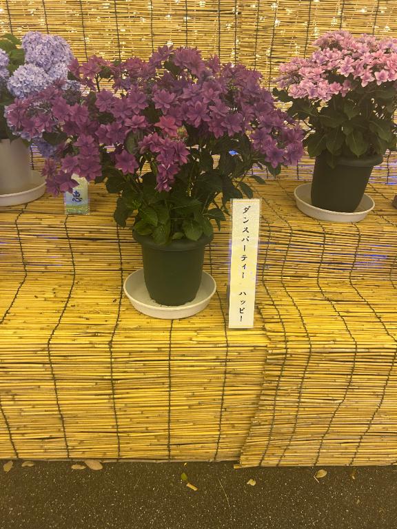 かな 写メ日記 6/10(火) 12:17