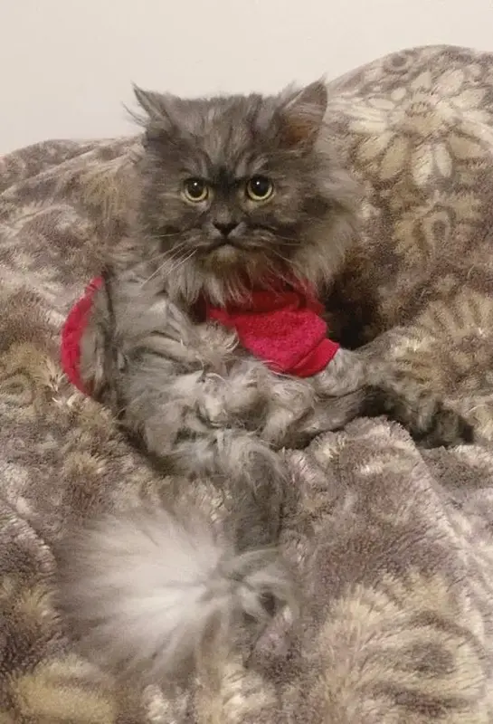 写メ日記 藤崎エリ子(単体AV女優) 2/25(水) 01:52