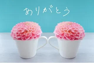 写メ日記 つくし 1/27(火) 14:06