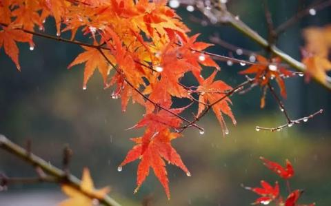 そら 写メ日記 10/26(日) 11:18