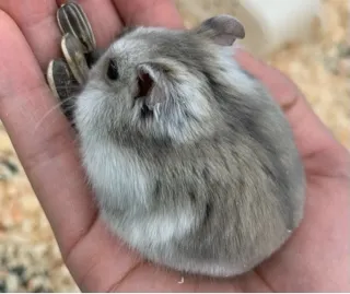 写メ日記 うた 4/4(土) 09:44