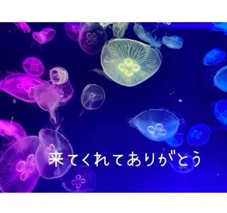 写メ日記 あみ 9/7(月) 20:38