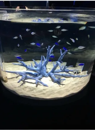 写メ日記 あみ 9/9(水) 09:20