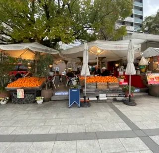 写メ日記 あみ 9/24(木) 20:14