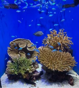 写メ日記 あみ 10/7(水) 09:34