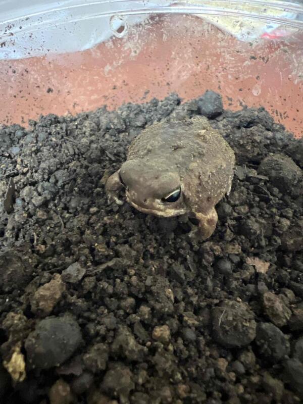 まこと 写メ日記 4/18(金) 06:51