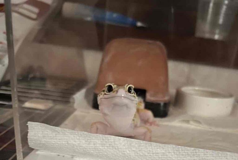 まこと 写メ日記 6/7(土) 08:11