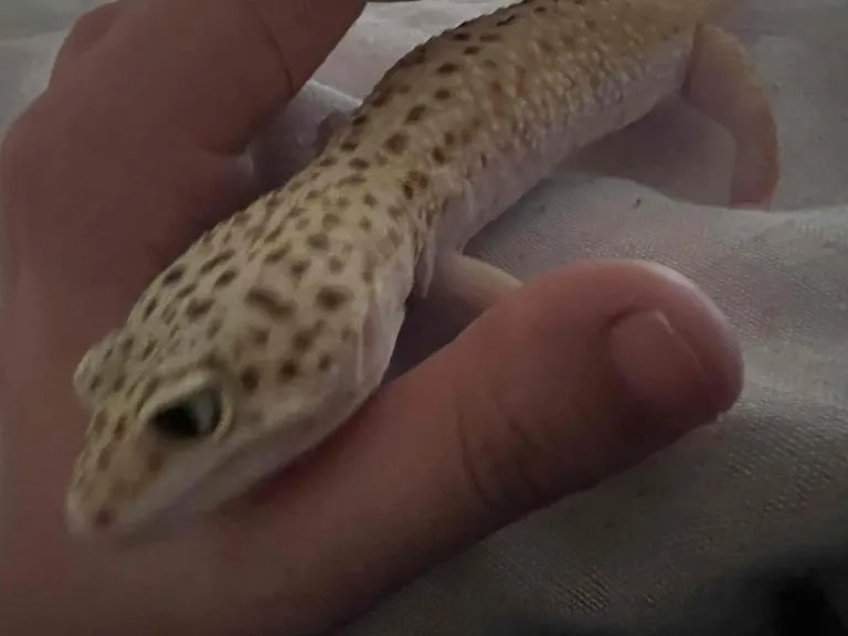 写メ日記 まこと 10/31(金) 15:40