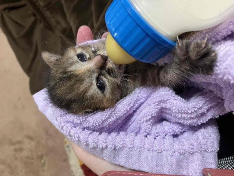 まこと 写メ日記 11/4(火) 07:20