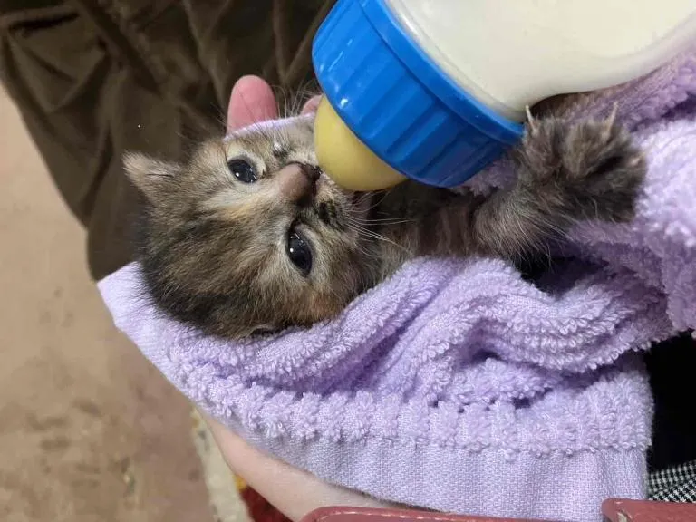 写メ日記 まこと 11/4(火) 07:20