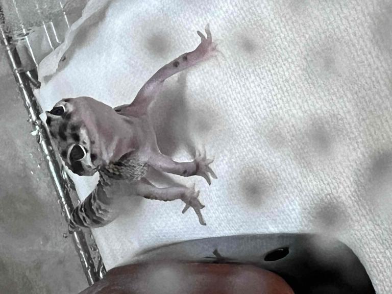 まこと 写メ日記 12/3(水) 13:35