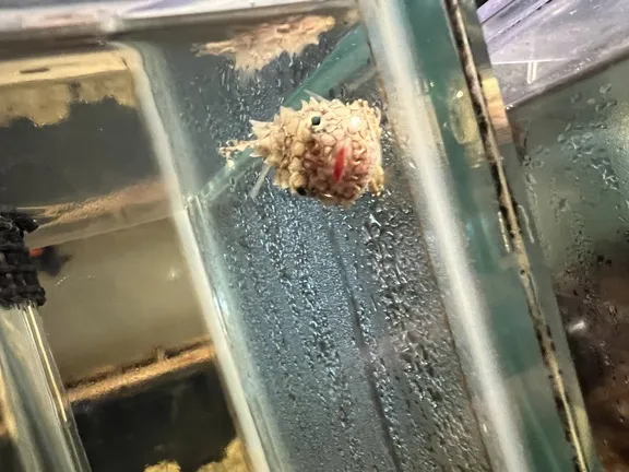 写メ日記 まこと 6/19(金) 01:16