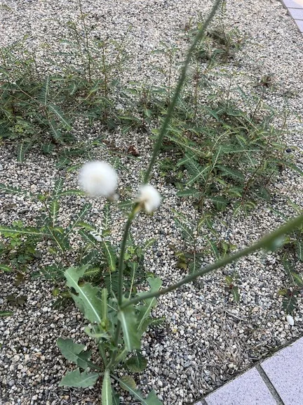 写メ日記 まこと 8/21(金) 18:27