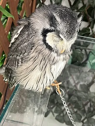 写メ日記 まこと 10/17(土) 09:10