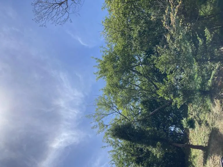 写メ日記 みき 11/3(月) 14:29