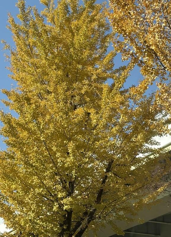 みき 写メ日記 12/1(月) 20:07