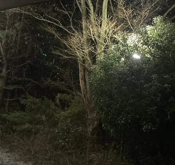 写メ日記 みき 4/25(土) 20:10