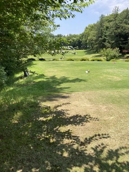 写メ日記 みき 5/4(月) 13:09