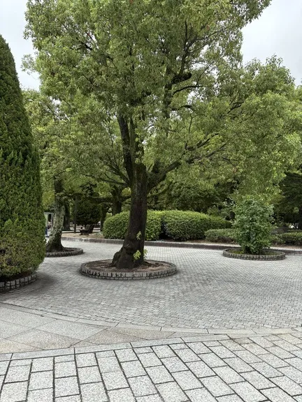 写メ日記 みき 5/22(金) 07:00