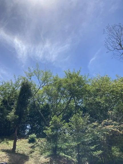 写メ日記 みき 6/30(火) 15:07