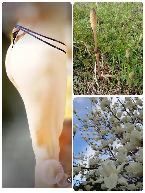写メ日記 いちか 3/17(火) 09:41
