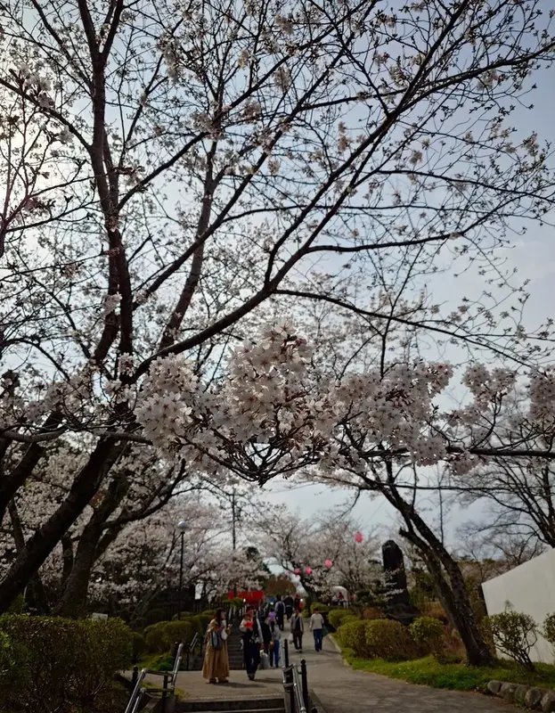 写メ日記 いちか 3/30(月) 14:54