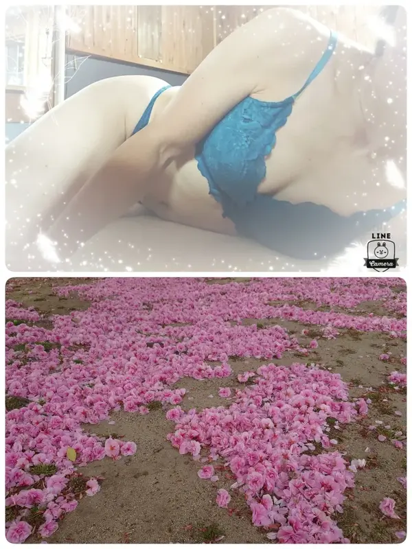 写メ日記 いちか 4/26(日) 01:39