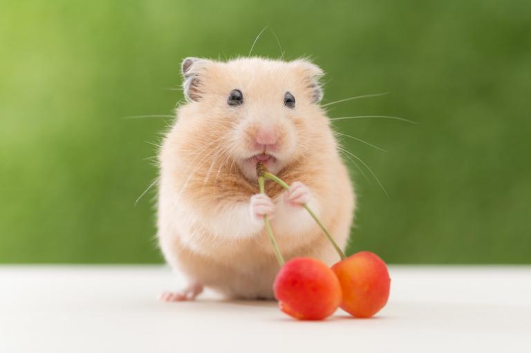 ひなの 写メ日記 4/10(木) 12:51