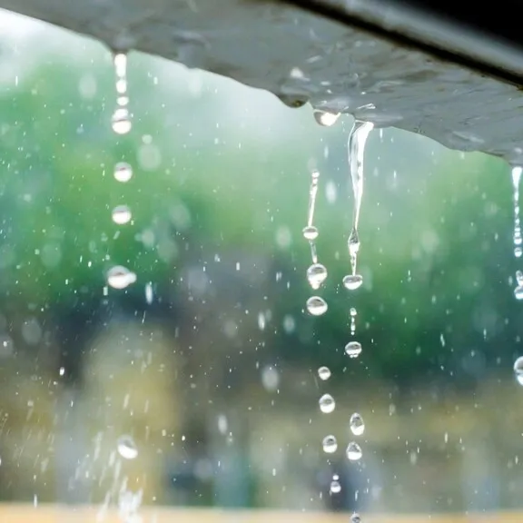 写メ日記 ひなの 4/23(木) 13:50