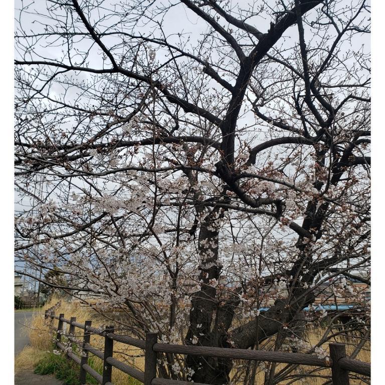 はるか 写メ日記 4/4(金) 11:08