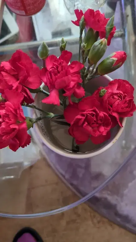 写メ日記 あさみ 3/9(月) 07:42