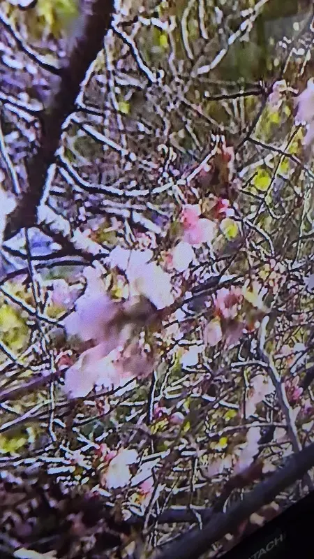 写メ日記 あさみ 3/20(金) 09:13