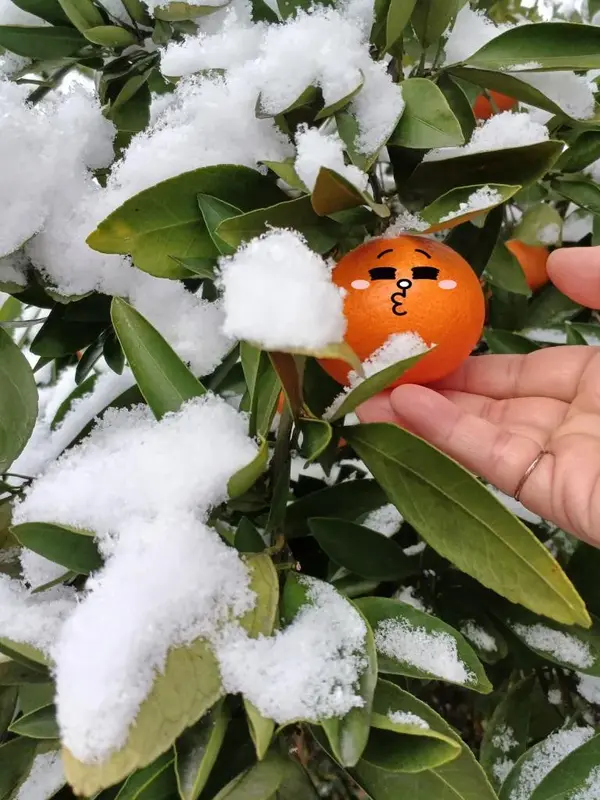 写メ日記 いろ 1/12(月) 08:33