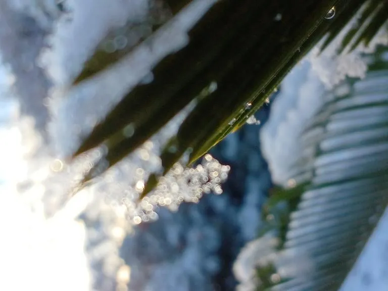 写メ日記 いろ 1/23(金) 08:34