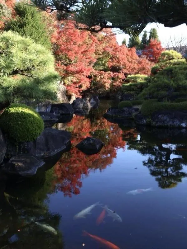 写メ日記 ふじこ 12/9(火) 09:34