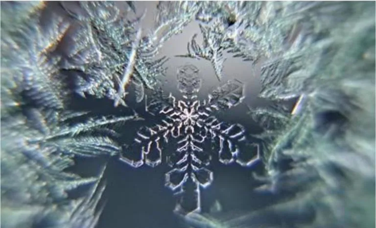 写メ日記 まい 1/20(火) 17:20