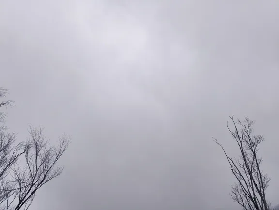 写メ日記 さくら 1/29(木) 14:00